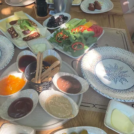 Pietra Social House 乌尔拉