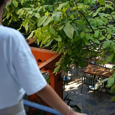 Pietra Social House * 乌尔拉